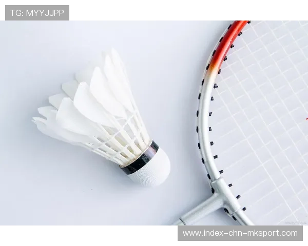 羽毛球国家队科研成果为训练方法带来颠覆性提升